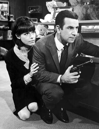 Cast of Get Smart Get Smart Cast