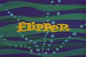 Flipper Episode Guide