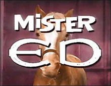 Mister Ed Title Card